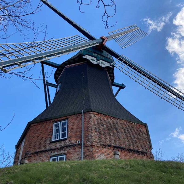 Krimi-Trail Meldorf Mühle