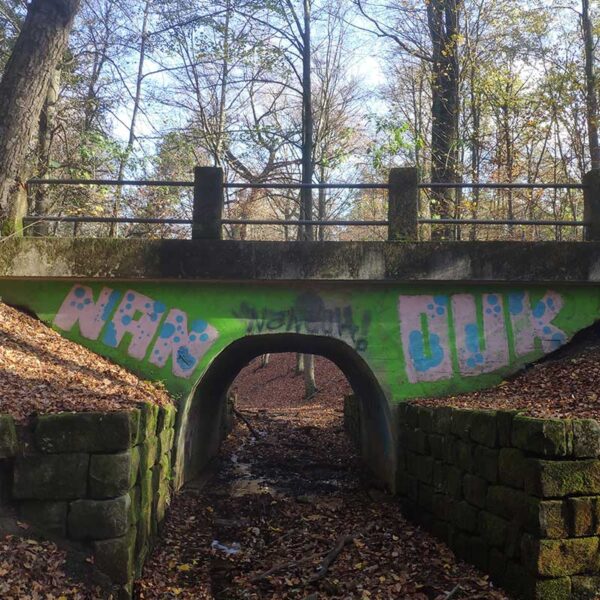 Krimi-Trail Dresdner Heide Stechgrundbruecke