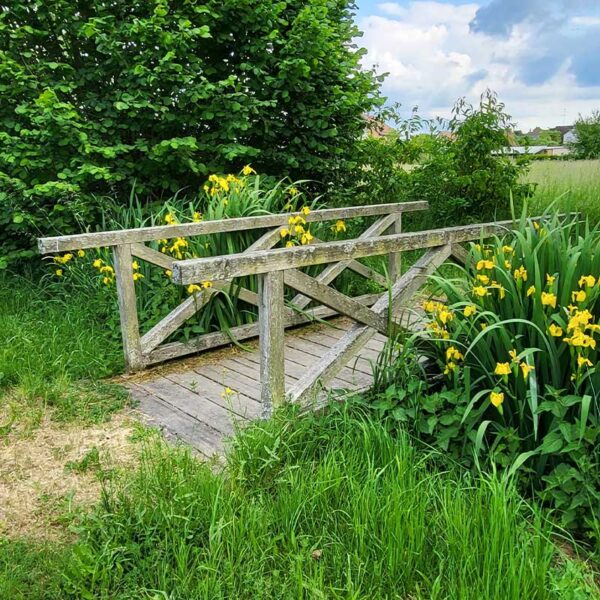Krimi-Trail Hemau Park
