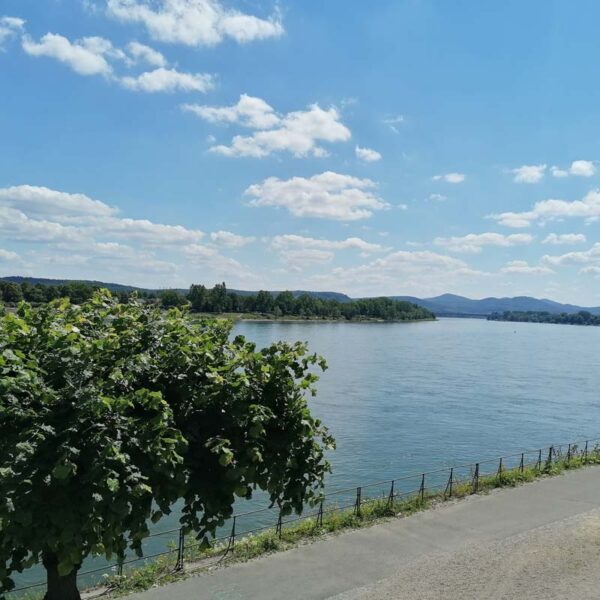 Das Bild zeigt einen Ermittlungspunkt auf dem Krimi-Trail in Bonn am Rhein.
