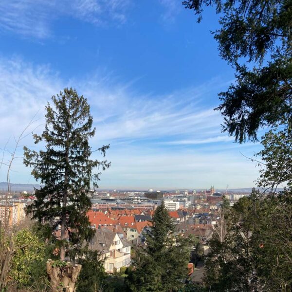 Das Bild zeigt einen Ermittlungspunkt auf dem Krimi-Trail in Freiburg Wiehre.